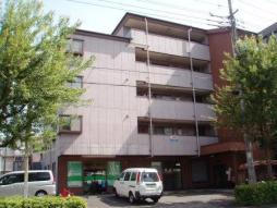 写真 写真
